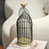 Художественная металлическая клетка для птиц Мягкое украшение в скандинавском стиле Светлая роскошь Творческая современная личность Дизайнерское украшение для гостиной дома