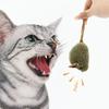New Type Of Cat-teasing Plush Simulation Mouse Toy Long Plush Bird Chirping Mouse Scratch-resistant And Biting Interactive Toy