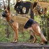 Explosion-Proof Tactical Dog Vest with Chest Harness for Large Dogs