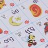 25 в 1 Книга с голосовым чтением Игрушка для учебы 35 страниц Раннее образование Китайский Английский Язык Голосовая настенная диаграмма Игрушка