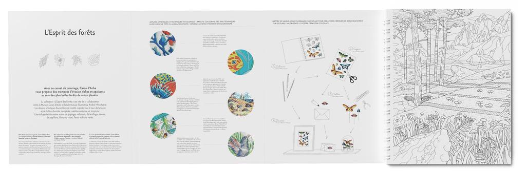 Каран Даш Раскраска Лес Книжка-раскраска 0454-802