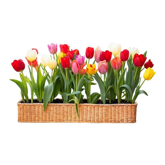 Window Decals Spring Garden Design Double-Sided Visibility Electrostatic Adsorption Glass Sticker Home Shop Window Decoration