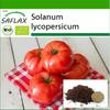 Органический - Помидор - Сен-Пьер - 15 семян - С горшечным субстратом для лучшего выращивания - Solanum lycopersicum