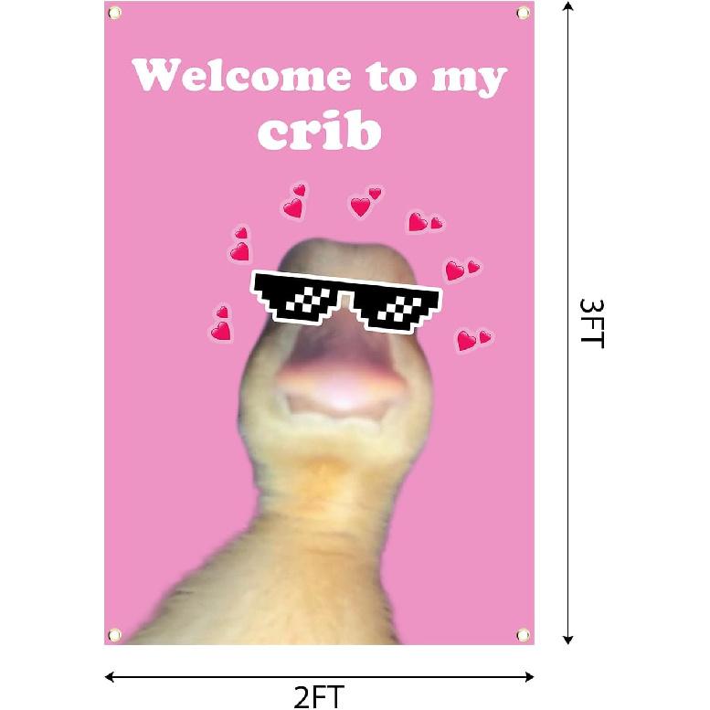 Welcome To My Crib Flag 2x3 Feet Tapestry With 4 Brass Grommets. Funny Flag for Teen Girls Room Indoor Outdoor Bedroom and College Dorm Wall Decor