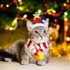CANPLUS Набор Рождественская Шапка Шарф для Собаки Кошки Одежда для Кошки Одежда для Собаки Мелкие Собаки Защита от Холода Одежда Санты Милые Товары для Питомцев Костюм Подарок