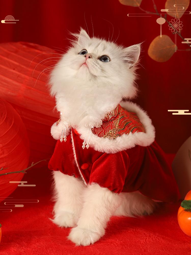 Праздничный зимний наряд для кошек и собак: Теплая юбка-кошечка на осень и Новый год