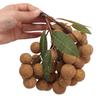 Handicrafts Artificial Fruit Lifelike Foam Longan Model Simulation Longan  Shopwindow Ornament
