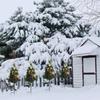 2 шт. Солнечный светодиодный светильник для рождественской елки Ip65 водонепроницаемый для наружного двора, ограждения, украшения сада