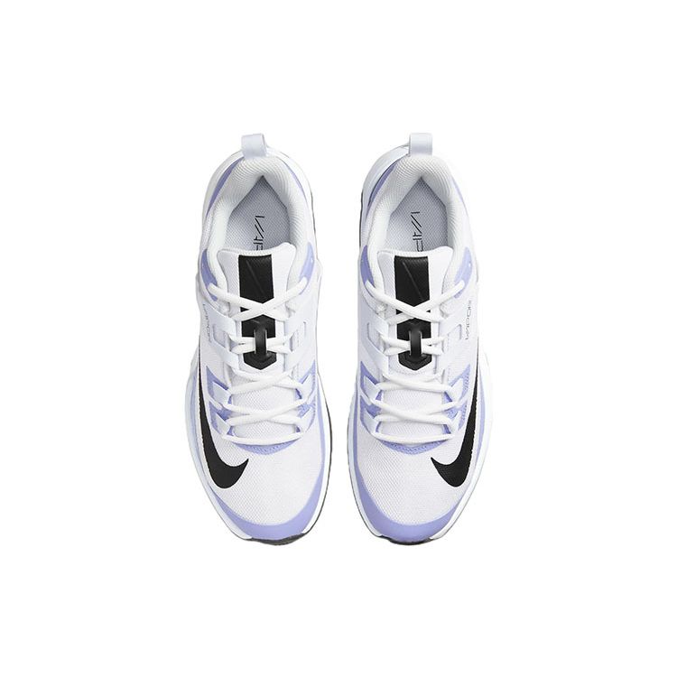 Nike Женские кроссовки Court Vapor Lite Light Thistle Белый футбольно-серый Черный DC3431-500