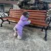 Водонепроницаемый хлопковый пальто в британском стиле для маленьких собак - Теплая четырехлапая зимняя одежда для померанских шпицев и пород тедди