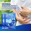 Healthy Digestive Patch External Use Release Stomach Ache Natural Extract Adult Herbal Constipation Digestion