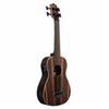 KALA UBass Ukulele Bass, Striped Ebony Series, Ebony Body, UBASS-EBY-FS20_06, Successor to the UBASS-EBY-FS (Case Included)
