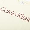 Calvin Klein SS23 Свободный пуловер с логотипом и круглым вырезом, футболка с короткими рукавами, мужские топы цвета слоновой кости, 40LM200-CEN