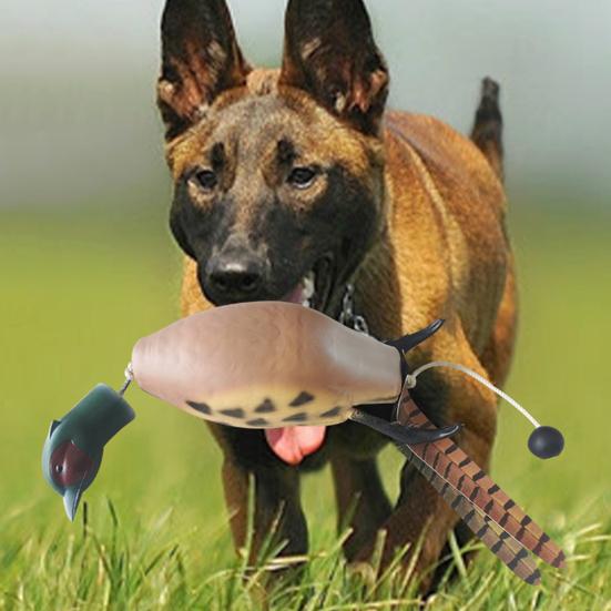 Игрушка для домашних животных, реалистичная форма фазана, голубя, утки, игрушка для дрессировки собак, устойчивая к укусам, игрушка для охотничьих собак, товары для домашних животных