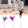 Funny Pet Cat Feather Bell Spring Suction Cup Elastic Playing Interactive Toy