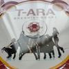 [USED] T-ara Vol. 1 - Breaking Heart (Repackage) (Korean Version)