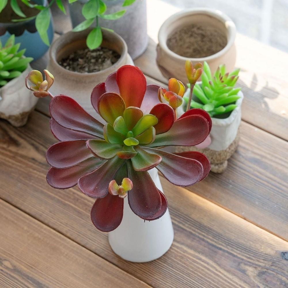 Fleshy Artificial Succulent Plant Lifelike Simulation Bonsai Plant Fake Cactus Home Office Decor