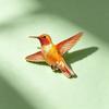 Colorful Hummingbird Enamel Pin Set, Delicate Flying Bird Brooches, Vibrant Nature-Inspired Metal Badges with Gold Trim