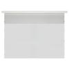 IN&VI 133-inch Electric Floor-Rising Anti-Light Projector Screen