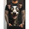 Fun Dog 3D Printed T-shirt for Men and Women Plus Size Cao Liu Personality Summer Season Street Everyday Casual Wear
