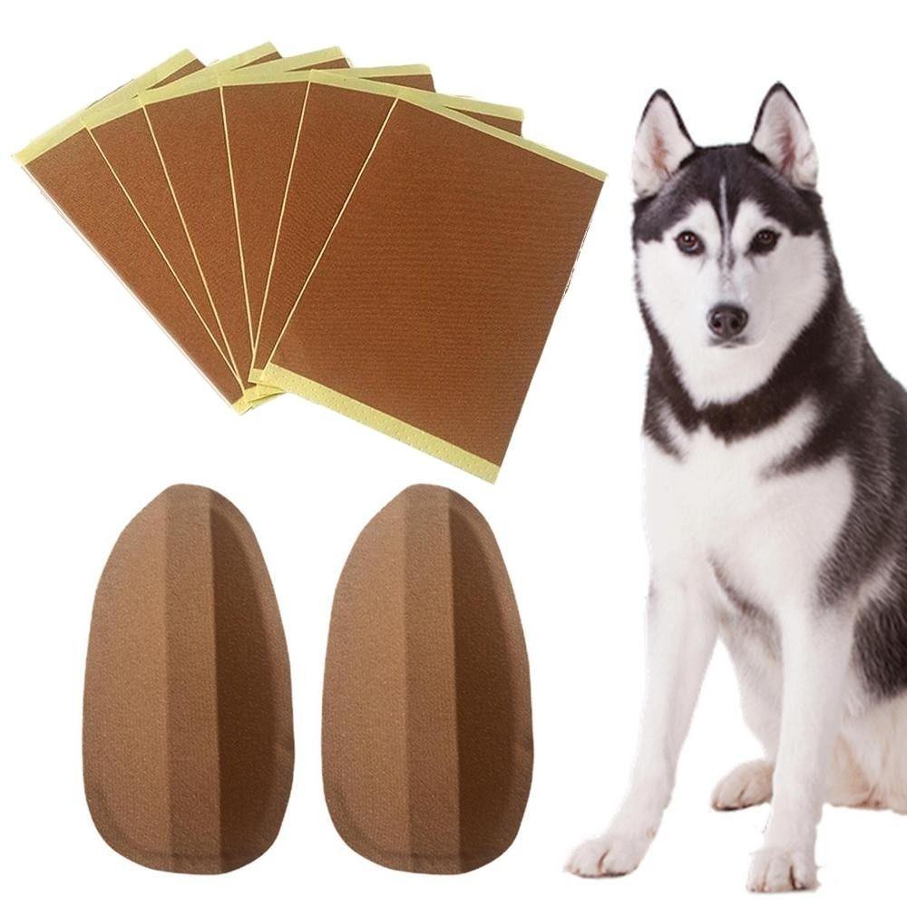 Correct Ear Erector Doberman Dog Supplies Ear Care Tools Dog Ear Stand Up Stickers Dog Ear Erector