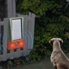 4X Ultrasonic Animal Outdoor Pest Bird Repellent with Motion Strobe and Intruder Alarm