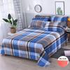 New Bed Sheet Skin-friendly Brushed Thickened Bed Sheet Four Seasons Multi-specification