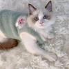 Pullover Design Cat Sweater Vest Soft Cotton Material Pet Warm Apparel Kitten Clothes For Kittens