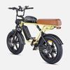 ENGWE M1 Electric Bicycle 250W Motor 48V28.6AH Dual Battery Hydraulic Brake Electric Bike 20*4.0-In Fat Tire All Terrain E-bike