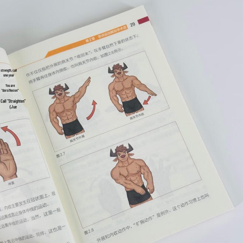 Sports Anatomy for Fitness Enthusiasts: Pocket Edition
