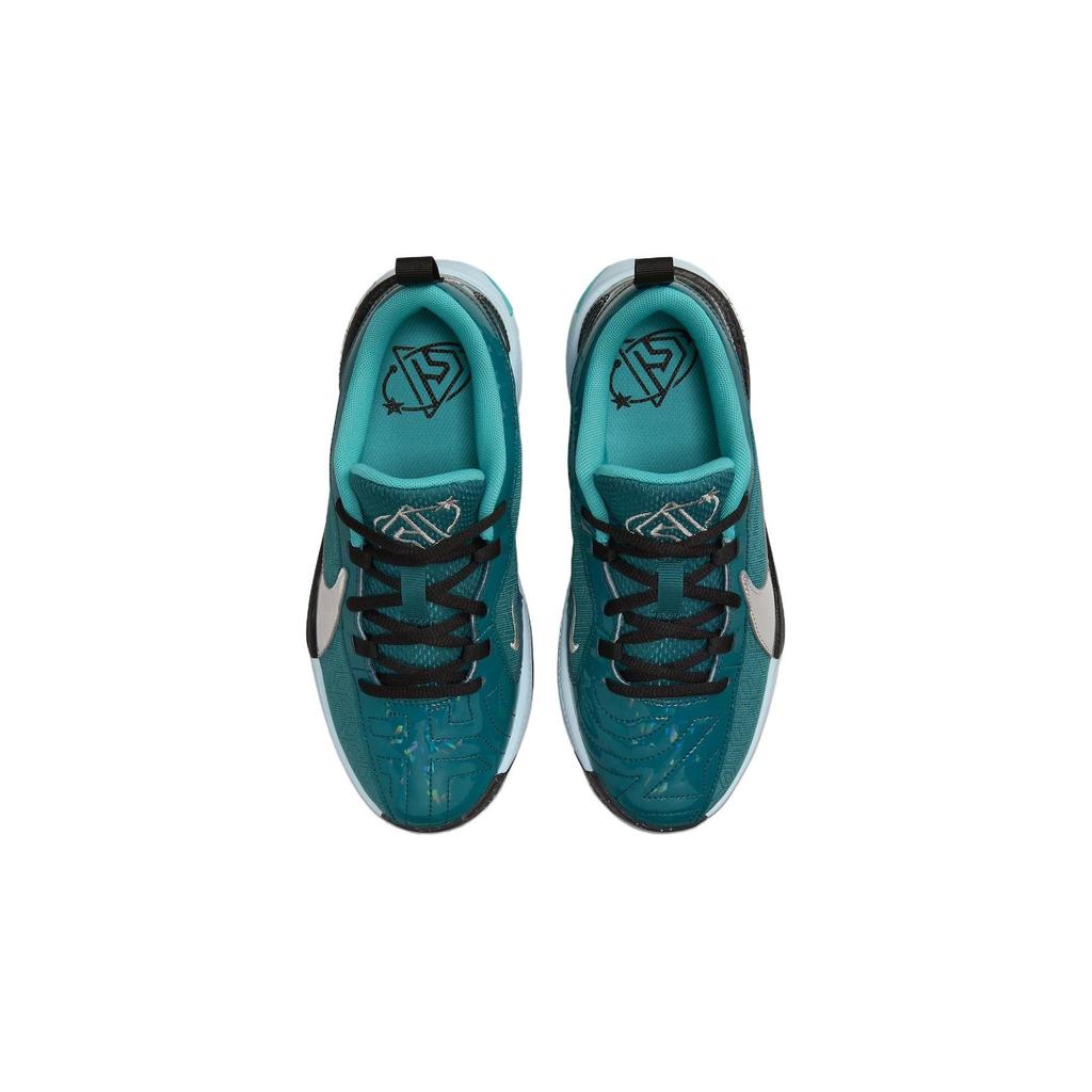Nike FN1356-300 Мужская спортивная обувь
