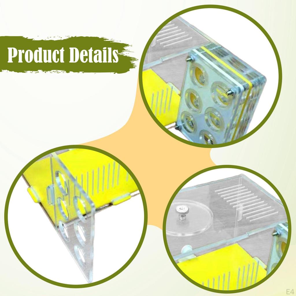 Акриловая ферма-вилла для муравьев для спальни, научного наблюдения, Дня защиты детей