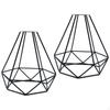 2 Bulb Guard Lamp Cage, for Pendant Light, Holder, Fan Covers Vintage Industrial Style