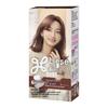 Liese Bubble Hair Dye
