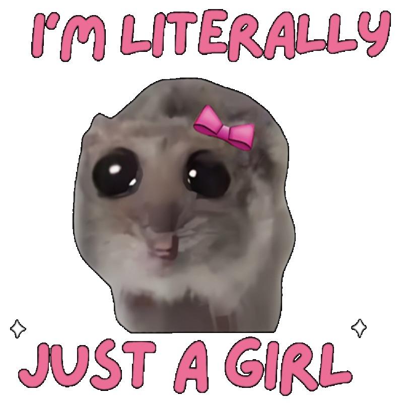 Женская футболка черная Я буквально просто девушка с хомяком и принтом розового банта Повседневный топ для ежедневной носки