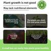 Горшечные цветы Мощная 6-в-1 суккулентная универсальная питательная палочка медленного высвобождения для растений