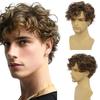 New Short Curly Synthetic Wigs Men's Wigs Fluffy Natural Cover White Hair Show More Long Bangs Short Curly Wigs