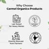 CARMEL ORGANICS Bacopa Monnieri 340 Gram Powder | Herbal Supplement for Focus, Memory & Stress Relief | Non-GMO | Neer Brahmi