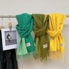 Autumn and Winter Warm Artificial Cashmere Scarf Solid Color Long Scarf All-Matching