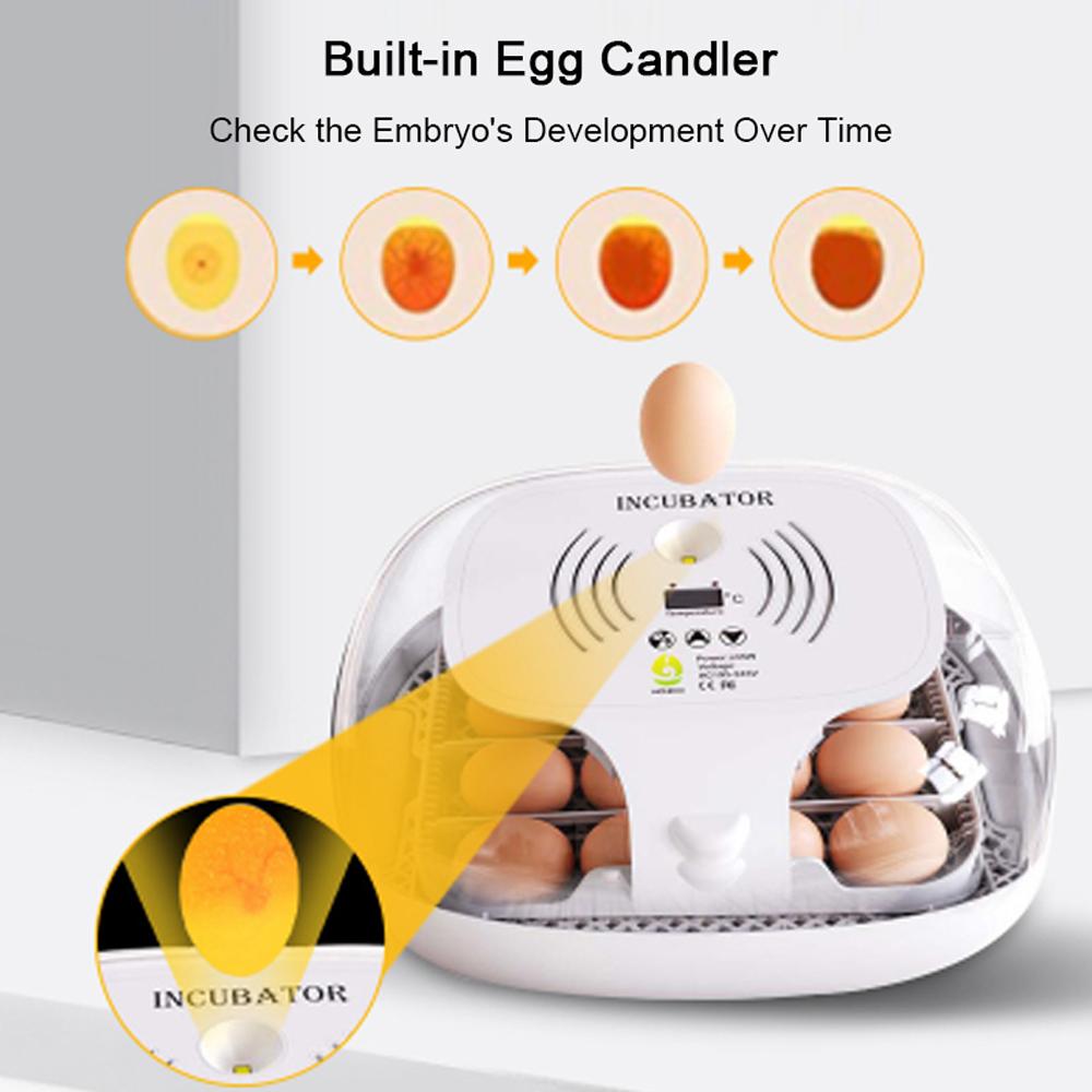 Egg Incubator for Hatching with Automatic Egg Turning Led Egg Test Lamp Clear Lid Easy To Wash 16