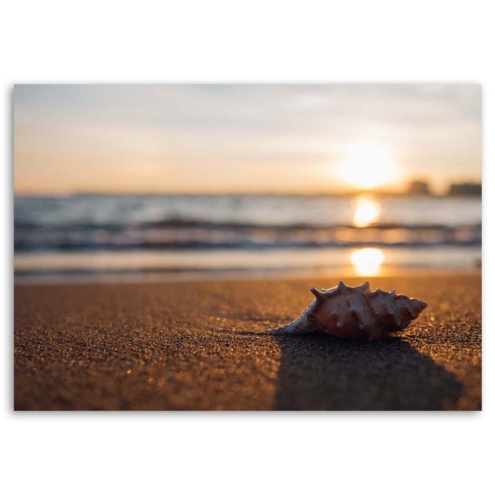 Canvas print, Shell on the beach