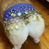 Dog Belly Dance Costume Corgi Dog Waist Chain Butt Curtain Clothes with