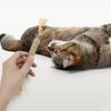 Cat Chew Stick Natural Silver Vine Stick Cats Oral Health Chew Toy Dental Stick for Cats Kittens Treats Interactive Play Training