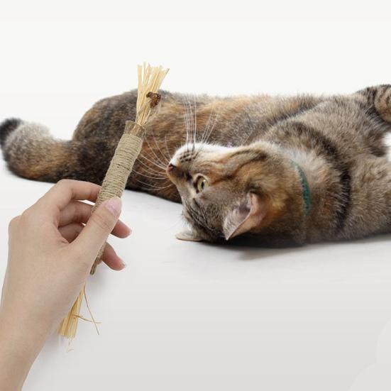 Cat Chew Stick Natural Silver Vine Stick Cats Oral Health Chew Toy Dental Stick for Cats Kittens Treats Interactive Play Training