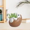 Animal Shaped Flower Pot Artwork Collection Unique Ceramic Flowerpot Planter for Farmhouse Desk