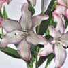 DIY Craft Artificial Flower Branch Plastic Floral Arrangement Simulated Flower Decor  Festive Event