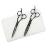DEEDS GTZ Sword Black Titanium Scissors and 630CT Thinning Scissors Approximately Thinning with Dedicated Case Set Hairdressing Thinning Scissors [PF]