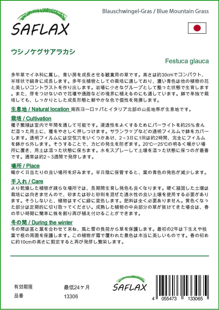 SAFLAX Голубая горная трава - 50 семян - Festuca glauca