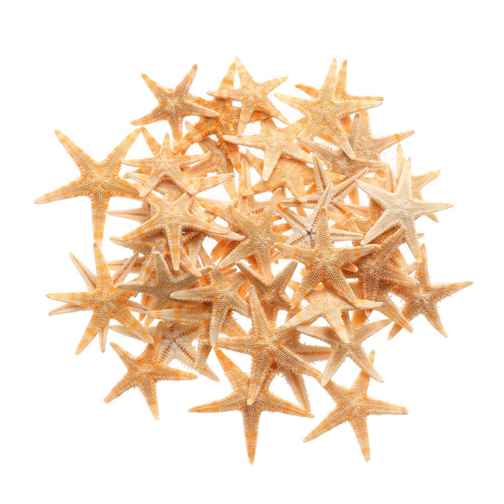 Вечерние свадебные украшения, смешанные морские звезды-натуральные аксессуары ручной работы, океанский декор, ракушки, морские звезды