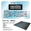 Ковер Ikehiko NCX Clear Rug Kobayashi Pharmaceutical Persistent Antibacterial Agent Antibacterial Odor Stability Fabric Summer Rush
